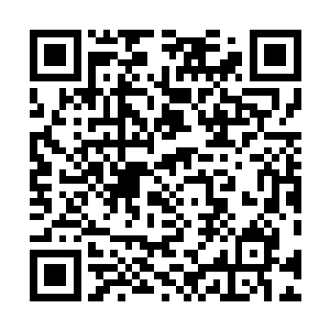 一旦被安祖拉人熊拍到一巴掌……结果肯定是非常可怜了二维码生成