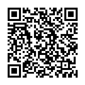 一旦被这鸟嘴击中那至少也会被撕裂出一个巨大的血窟窿二维码生成