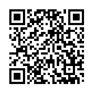 一旦这些野狗落入了这些捕狗大队的手中二维码生成