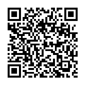 一旦进入了三尺红尘的本命空间……就算是天帝神念二维码生成