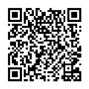一旦那些极端分子发现他们和德国的难民政策有关二维码生成