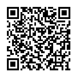 一旦里面的灵气释放出来那可是排山倒海般爆发二维码生成