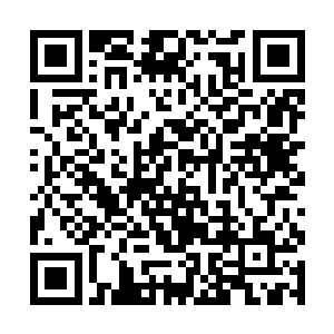 一旦金倩雪被激发出虫族特性研究人员又没有处理好二维码生成