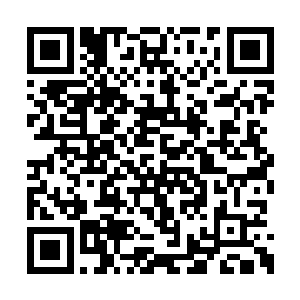 一旦靠近这数十万剑煞族将会很快就被全部撕碎二维码生成