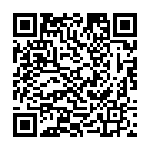 一早来给老夫人请了安就留在这里陪老夫人说说话了二维码生成