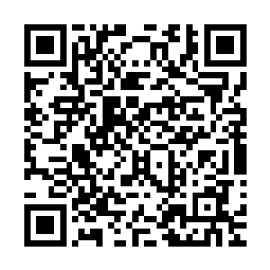 一时之间倒是不知道自己在这个时候是不是应该去招惹许紫烟二维码生成
