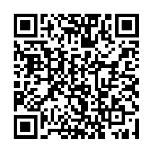 一时之间竟然忘掉了因为摔倒地上还在发着疼的后背二维码生成