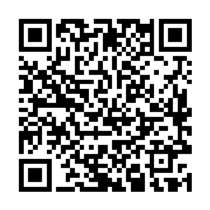 一时之间竟然觉得如同失去了主心骨一般地彷徨无助二维码生成