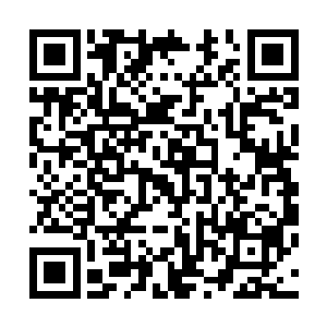 一时之间那浓郁的鬼气完全被我吸收进入了自己的煞穴之中二维码生成