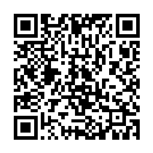 一时也没有将苗老汉这个树根包成的粽子给拯救出来二维码生成
