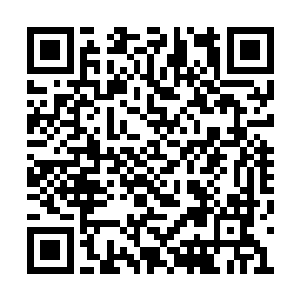 一时半会之间只怕也难以凑齐这么多的界主强者二维码生成