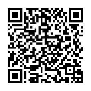 一时明白深渊坠落的危险预感来源……原来不是应验在女娲二维码生成