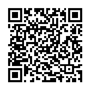 一时连谢子君都忘记了追究云峥和宝镜处对象的事二维码生成