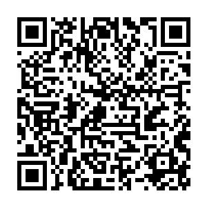 一时间 几大金丹大能纷纷消失 徒留一片狼藉的茅山以及鬼冥等人二维码生成