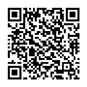 一时间也不知道该怨钟鸣鹏一走这么些年置她于不顾二维码生成