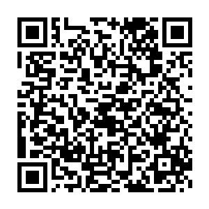 一时间也是有些拿捏不定萧沐晨几个人目光中也是闪烁着担忧的神情二维码生成