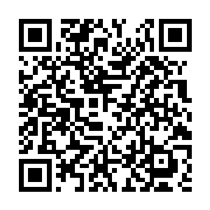 一时间宫殿中呈现出一幅诡异奇异的寂静气氛之中二维码生成