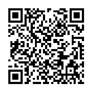 一时间家里甭管是大人还是孩子们都眉开眼笑的很二维码生成