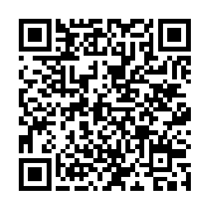 一时间居然没有注意到自己面前的饭碗又被女儿盛满了二维码生成