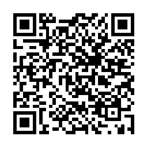 一时间强大的气势竟然盖过了郑万还有华森两个人气势二维码生成