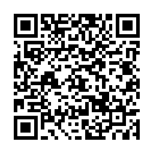 一时间我看到了林梦君身体周围出现了滚滚的妖气二维码生成