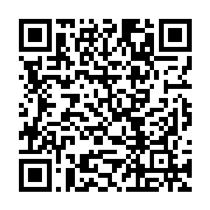 一时间所有的粉细们都被全身银色的偶像们给惊住了二维码生成