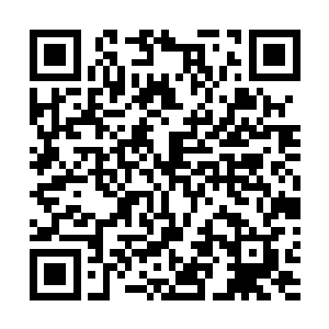 一时间竟然连菲利普斯留下的神级功法也有些看不上眼了二维码生成
