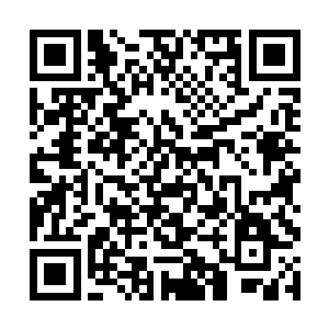 一时间视野中竟然只有远方那双泛着浓浓血色的双瞳二维码生成