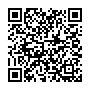 一时间龙傲天在云瑶心中也是变得更加的神秘起来二维码生成