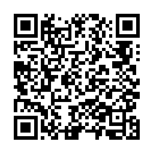 一时间龙傲天的形象在所有人的心中也再一次提高了一分二维码生成