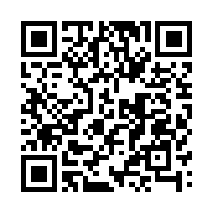 一是你丢失的储物袋里都有什么符箓二维码生成