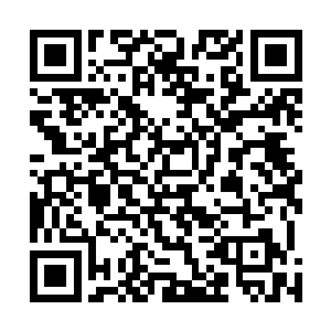 一朵巴掌大小的白色小花出现在了他和龙傲天两人的面前二维码生成