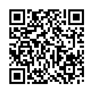 一朵朵妖冶的殷红玫瑰怒放在水泥地面上二维码生成