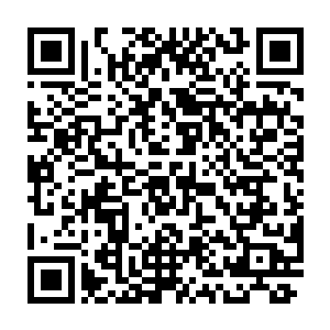 一朵朵散发出淡紫色光晕的灰色的火焰瞬间直接将炼天神鼎包裹了起来二维码生成