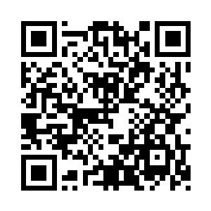 一朵朵的白色雪花飞旋在楚暮的周身二维码生成