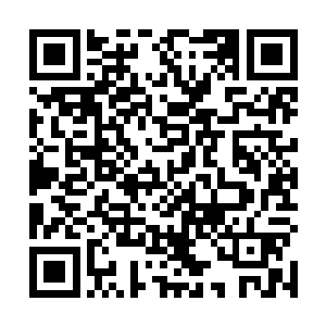 一朵花将一头兽王全部力量吸干……难怪我都抵挡不住二维码生成