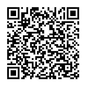 一条一个月大的小狗崽你就卖了四十万还好意思说你拿的都是差品二维码生成