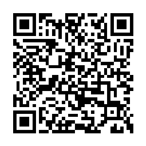 一条人影从空而降・落在了十二诸象大阵的中间二维码生成