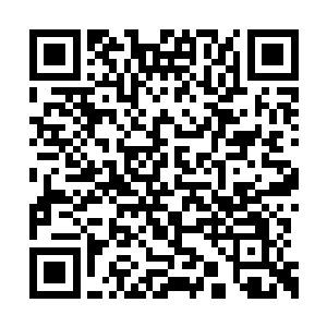 一条倾斜的几字形泥水长龙果然看起来威武不绝二维码生成