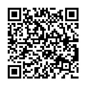 一条十数丈大小的银色蝎子飞快的在山谷中穿梭而过二维码生成