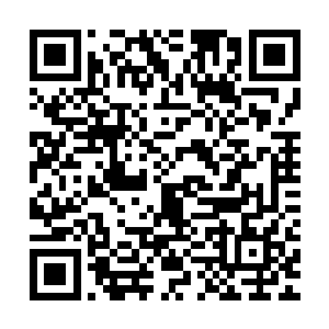 一条小鲭鱼个头不大但是脑袋确大了而且嘴里长满了锋利的牙齿二维码生成