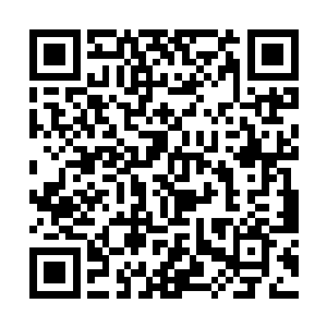 一条巨大的鱼出现在河水里还撞翻了河边的几架水车二维码生成
