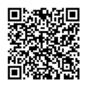 一条巨大的龙蛇扬起一个硕大的头颅朝着许紫烟厉吼二维码生成