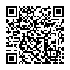 一条庞大的蛇族王者大笑着从乱芒树山的边缘出现二维码生成