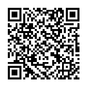一条恐怖的赤红色的火龙直接从地炎鼎之中飞掠而出二维码生成