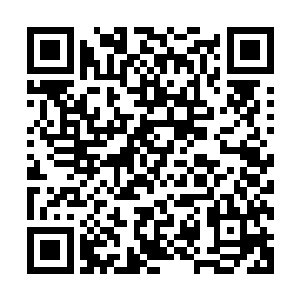 一条恐怖的黑色的杀戮之龙也再一次从龙傲天的体内飙升出来二维码生成
