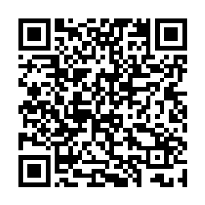 一条恐怖的黑色的杀气之龙从龙傲天的体内飚射而出二维码生成