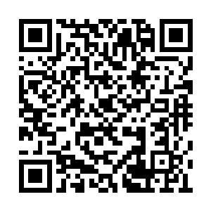 一条条手指如同蛆虫和水蛭般钻进了她的皮肤里二维码生成