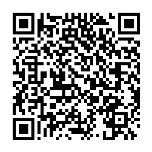 一条条淡绿色的液体在花茎中缓慢流淌似乎把灵花催生的更加巨大起来二维码生成