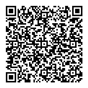 一条条白胖的蛆虫在他们的尸体上来来回回地蠕动着腐烂的血肉都成了灰褐色软泥一滩熏天的尸气将我的嗅觉都破坏了二维码生成